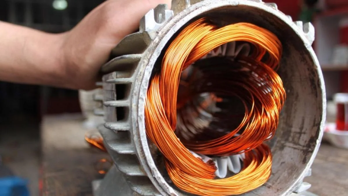 AC Motor Sargı